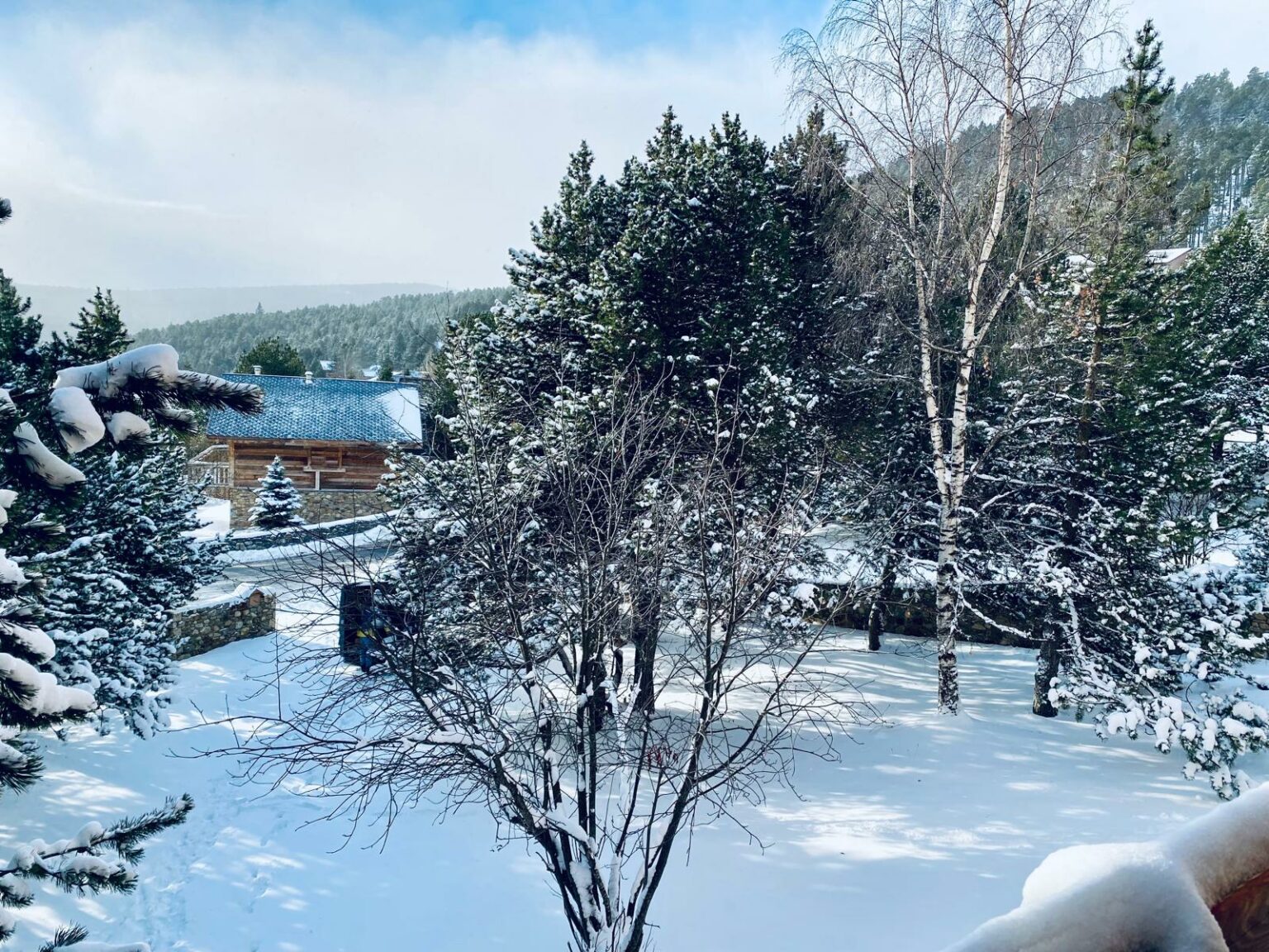 Vue du chalet l'ourson